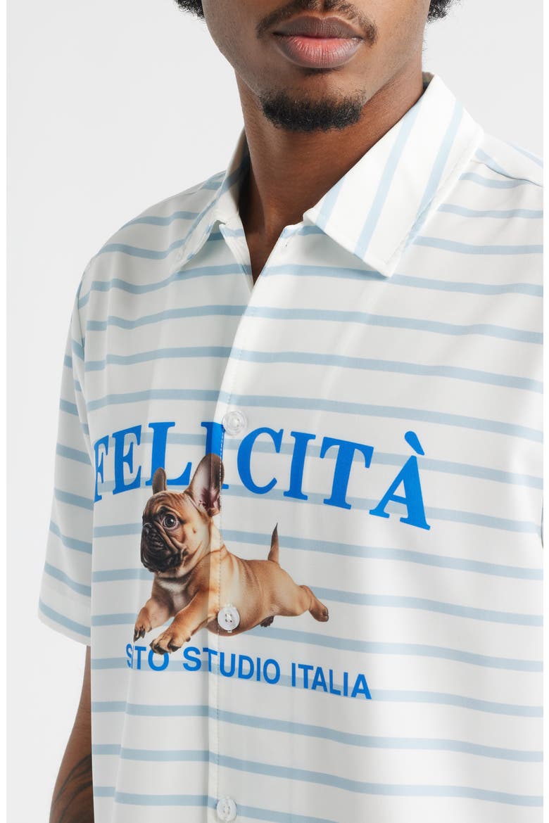 Felicità Stripe Cotton Button-Up Shirt, Alternate, color, WHITE