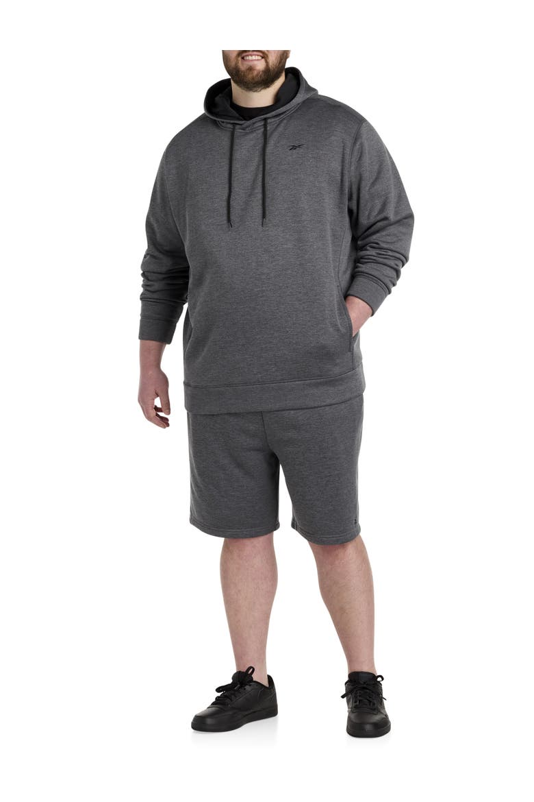 Big & Tall Performance Fleece Pullover Hoodie, Alternate, color, PURE GREY HEATHER