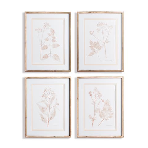 Blush Botanical Study Set of 4