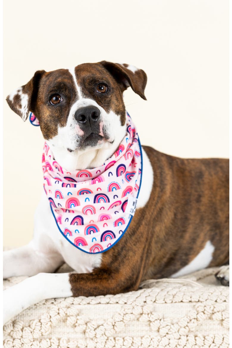 Clarke Pet Bandana, Alternate, color, Clarke