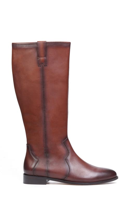 Anthony Veer Abigail Knee Boot In Brown