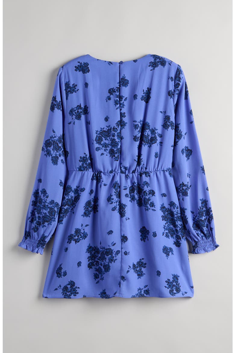 Kids' Floral Empire Waist Long Sleeve Dress, Alternate, color, BLUE BOUQUET FLORAL