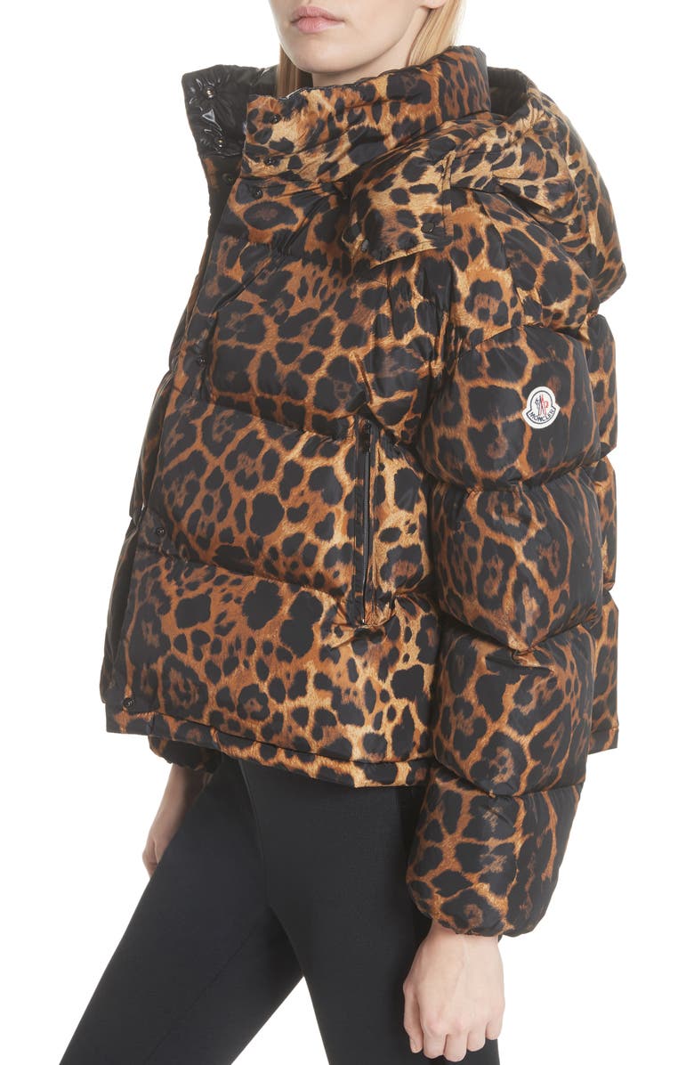 Moncler Caille Leopard Print Down Puffer Jacket, Alternate, color,