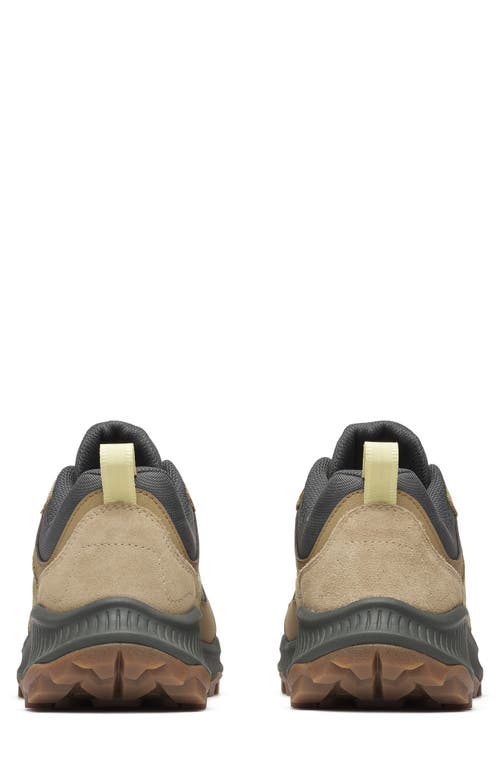 Merrell Tempo Sol Hiking Sneaker In Multi