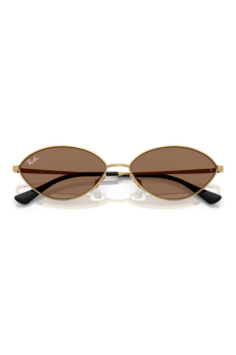 Kai 56mm Oval Sunglasses, Alternate, color, GOLD/ DARK BROWN