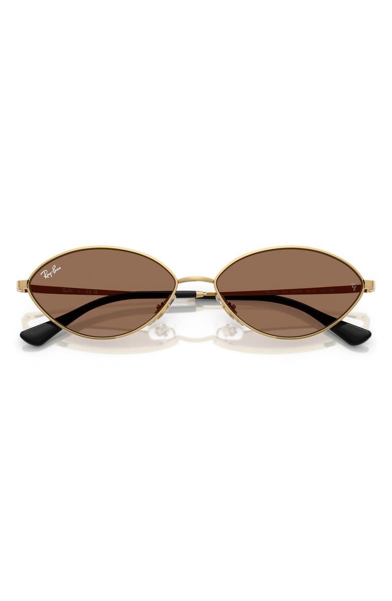 Ray-Ban Kai 56mm Oval Sunglasses, Alternate, color, Gold/ Dark Brown
