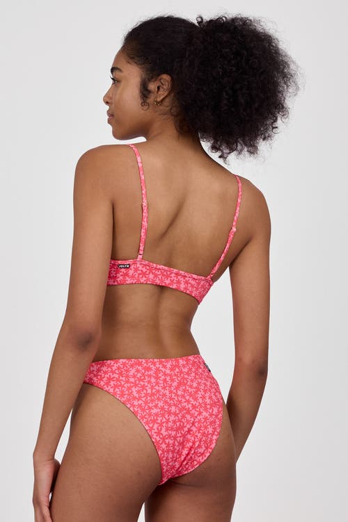 JOLYN JOLYN HALIEWA BIKINI BOTTOM