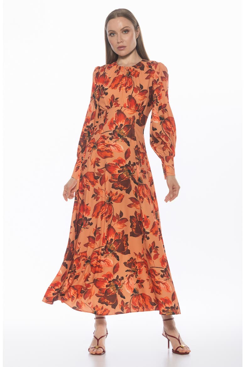 Yesenia Long Sleeve Empire Waist Maxi Dress, Alternate, color, RUST FLORAL