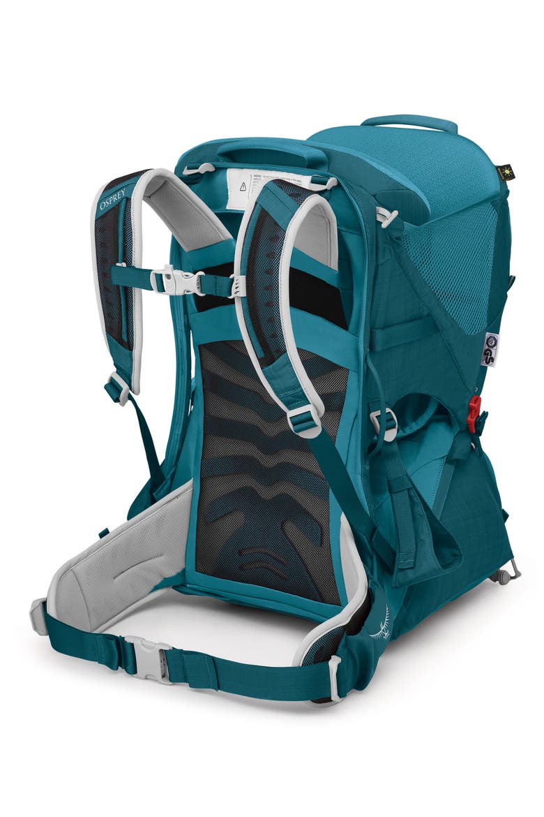Poco™ LT Child Carrier, Main, color, DEEP PEYTO
