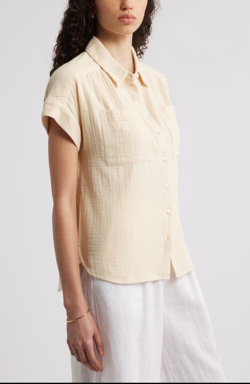 CASLONR CASLON(R) COTTON GAUZE BUTTON-UP SHIRT