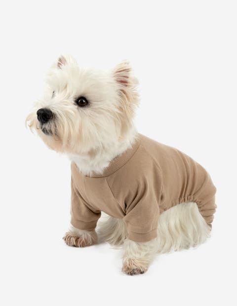 Dog Cotton Solid Matching Family Pajamas