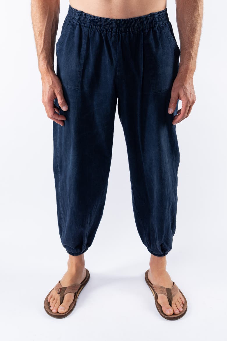 Gender Inclusive Day Pants, Alternate, color, Dark Navy