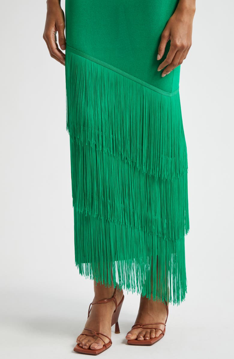 Elexiay Lokoja Sleeveless Fringe Hem Dress, Alternate, color, 