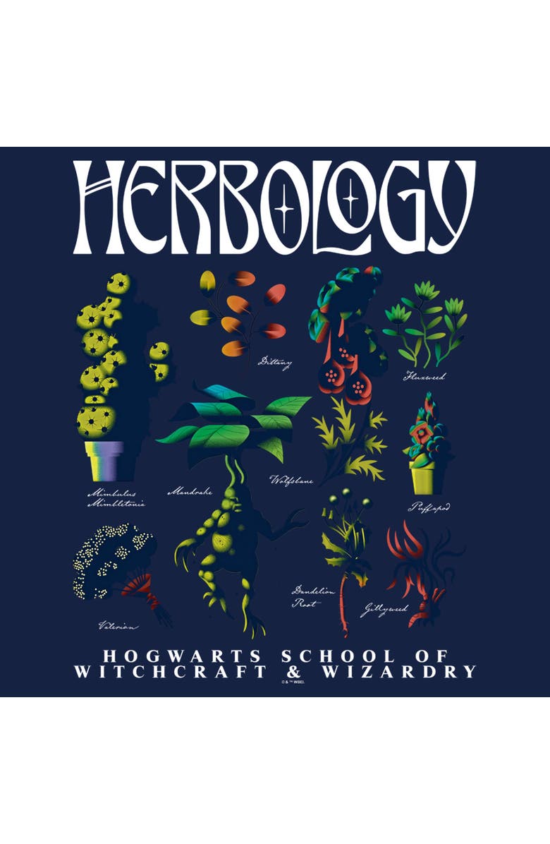 HARRY POTTER Men's Harry Potter Herbology Flash Sheet Graphic T-Shirt, Alternate, color, Navy Blue