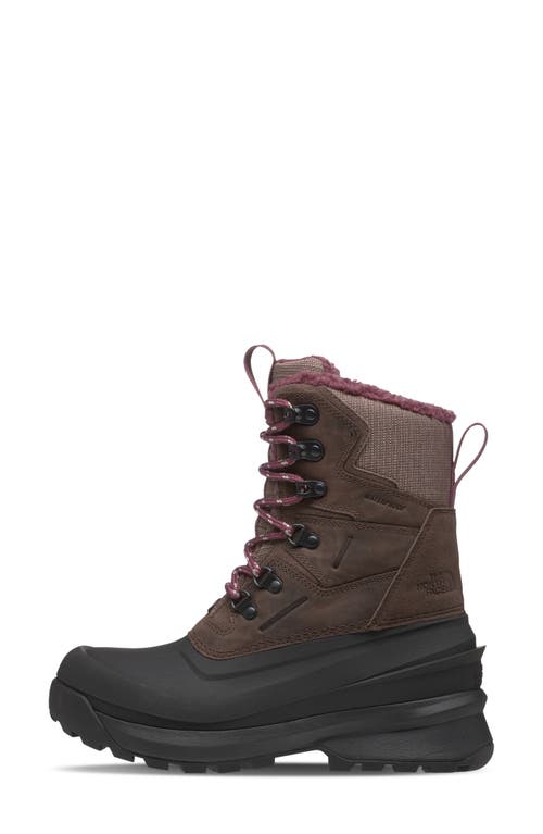 The North Face Chilkat V400 Waterproof Hiking Boot In Brown