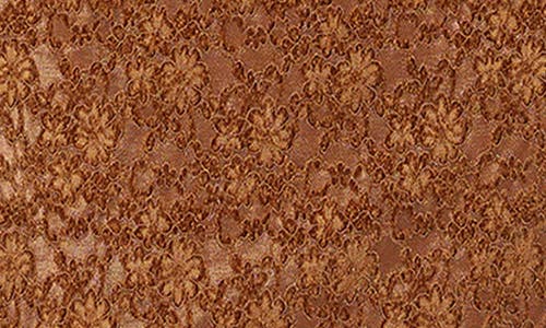 Lost + Wander Venetian Grace Lace Long Sleeve Minidress In Brown