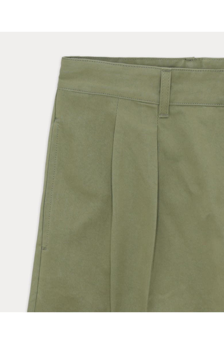 Fortela Newyork Pleated Cotton Trousers, Alternate, color, Sage Green