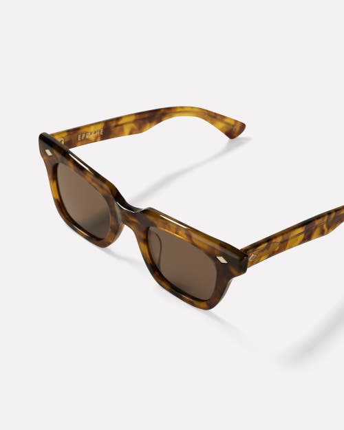 Epokhe Stereo Sunglasses In Brown