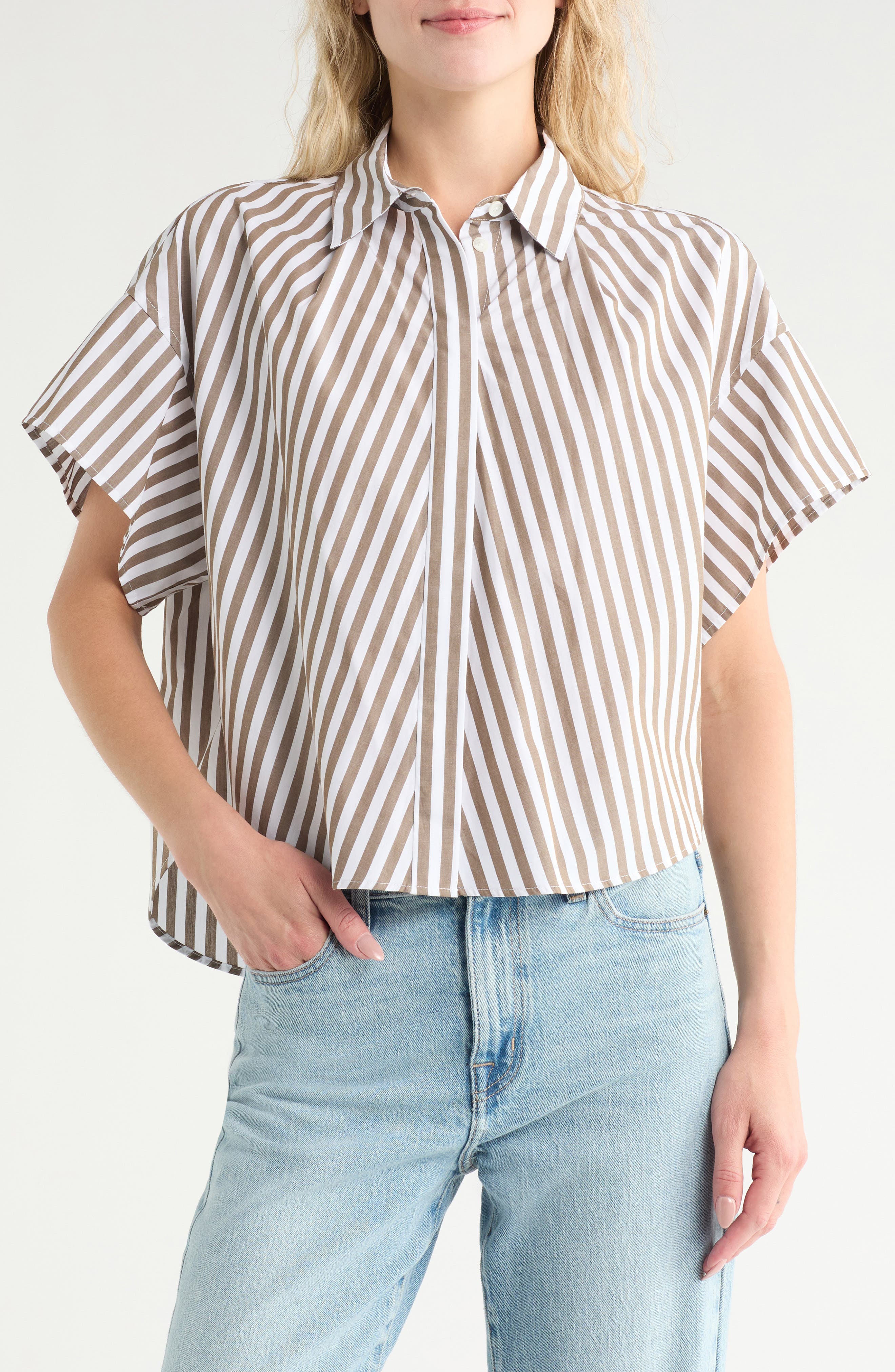 rag & bone Maura Stripe Cotton Poplin Button-Up Shirt