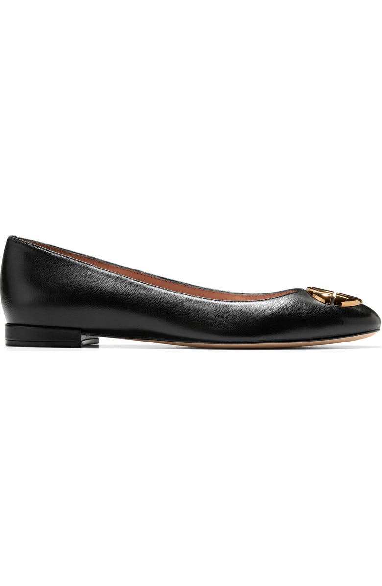 Cole Haan Skylar Ballet Flat, Alternate, color, Black Leather