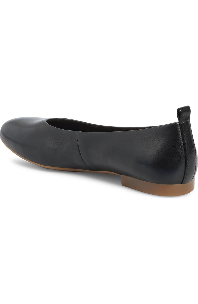 Børn Patrice Ballet Flat, Alternate, color,