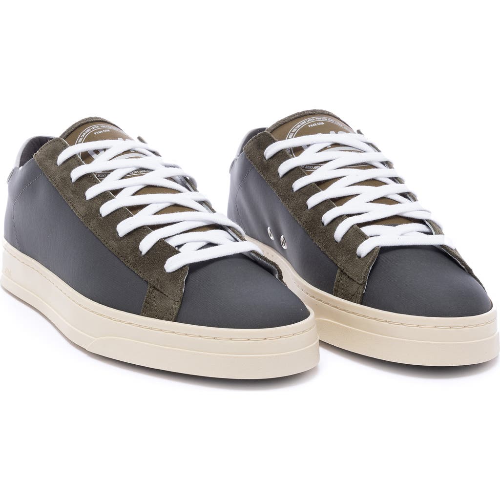 P448 Jack Sneaker