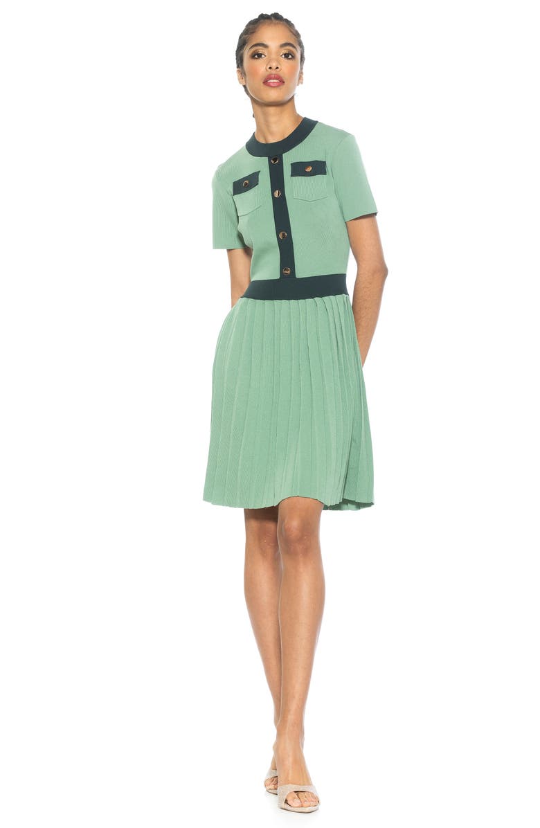 Alexia Admor Anders Short Sleeve Pleated Fit & Flare Dress, Alternate, color, 