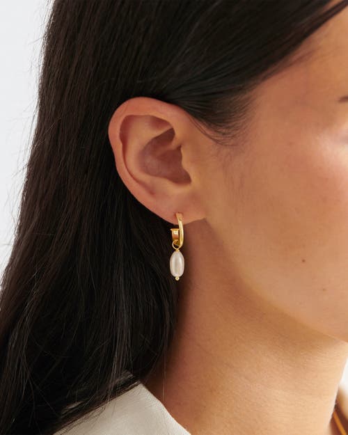 Katie Loxton Pearl Lustre Hoop Earrings In Gold