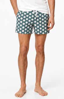 Onia Stretch Volley Swim Trunks