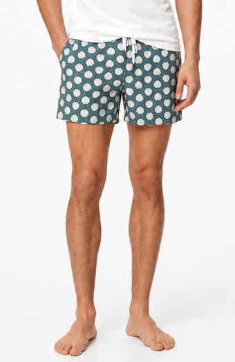 Stretch Volley Swim Trunks