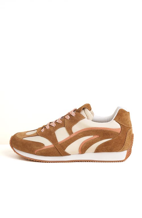 Charlotte Stone Hazel Sneaker In Brown