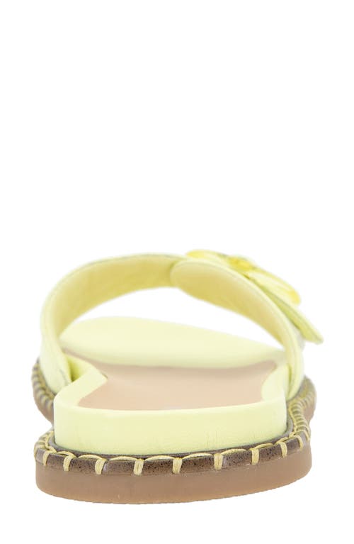 Reaction Kenneth Cole Syrena Buckle Slide Sandal In Lime Zest