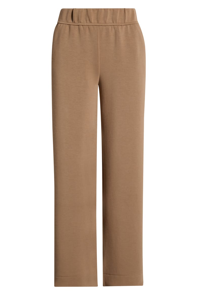 Dreamweave Relaxed Straight Leg Pants, Alternate, color, CARIBOU