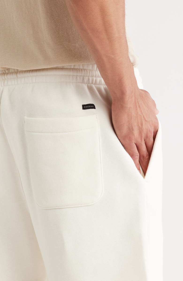 PacSun Coconut Milk Fleece Volley Shorts, Alternate, color, 