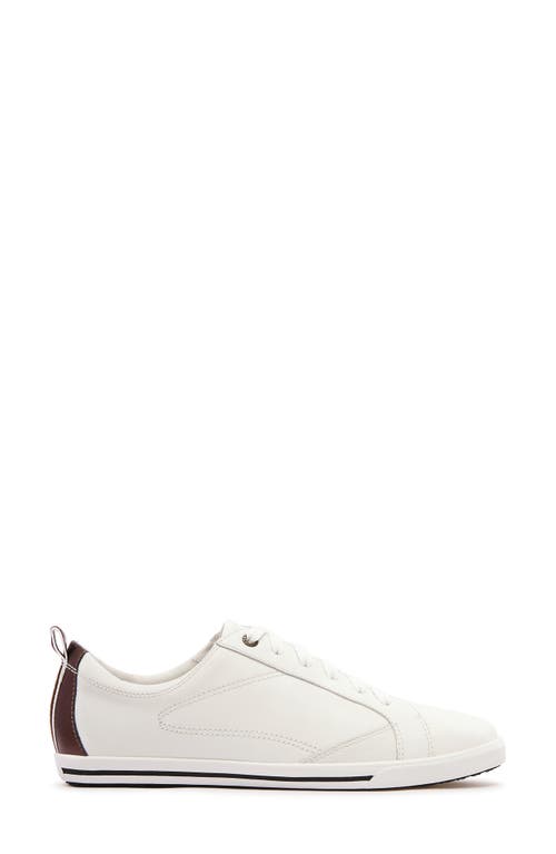 Frankie4 Asher Low Top Sneaker In Multi