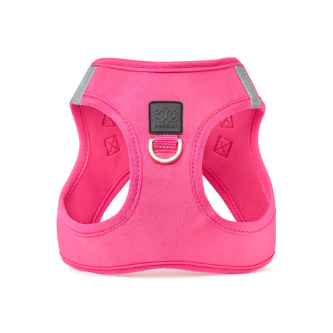 SoHo Dog Harness