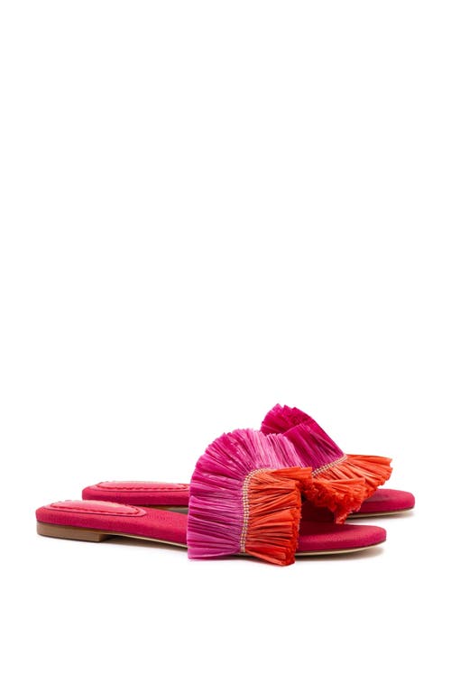 Larroude Larroudé Ivy Flat In Multi