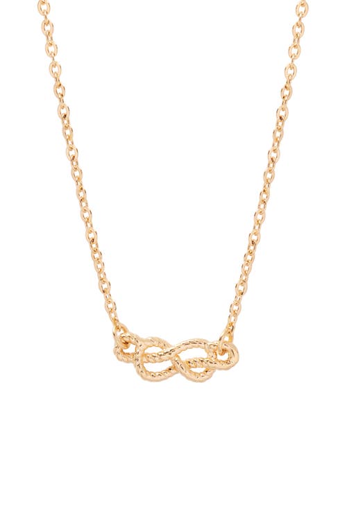 Brook and York Crew Necklace in Gold 