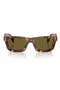  Honey Tortoise / Dark Brown