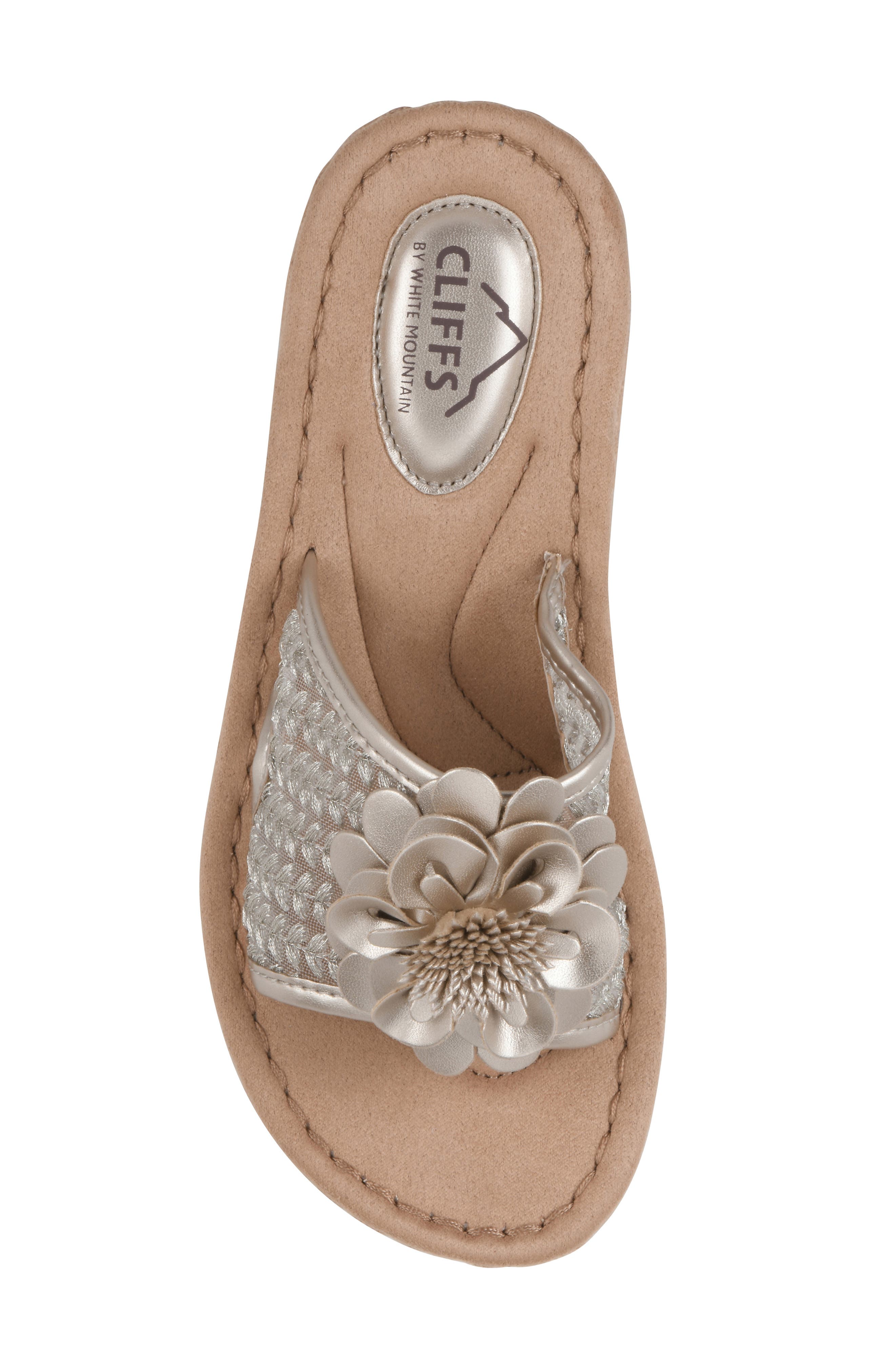 Chill 2 Wedge Slide Sandal - Wide Width Available, Alternate, color, PLATINO/ FABRIC