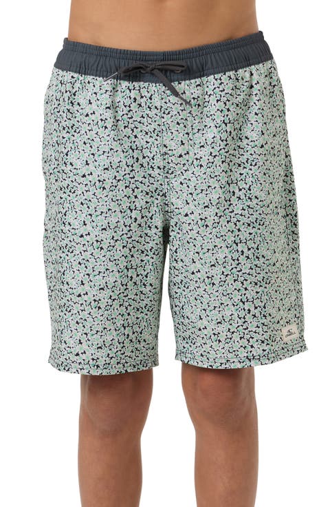 Kids' Hermosa Swim Trunks