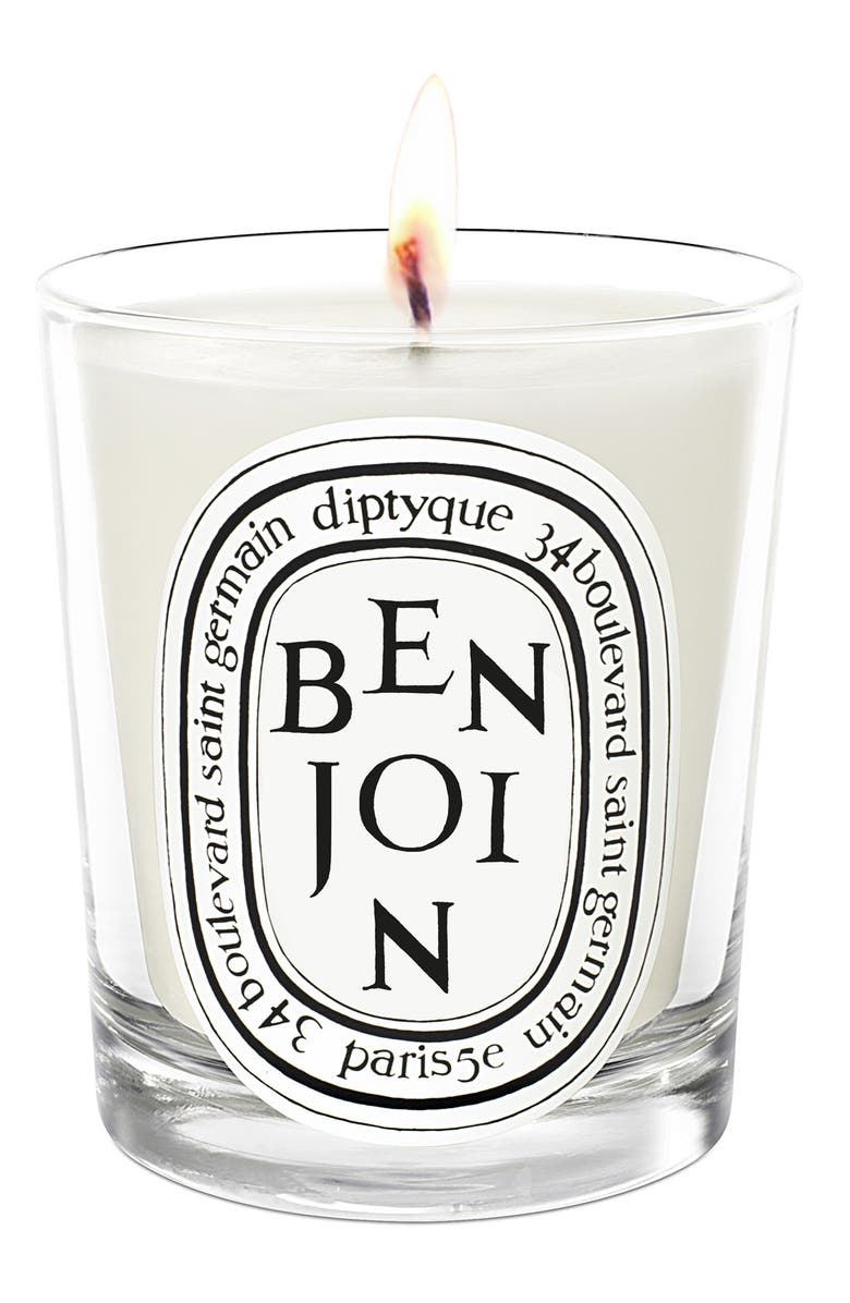Diptyque Benjoin Scented Candle, Main, color, 