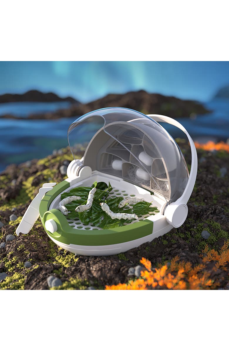 Science Can Insects Growth Station Grow & Observe, 6+, Alternate, color, Multicolored