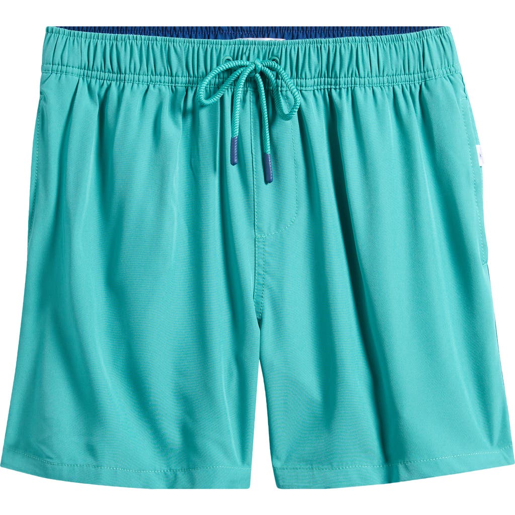 Vintage Summer Water Repellent Stretch Volley Swim Trunks In Green