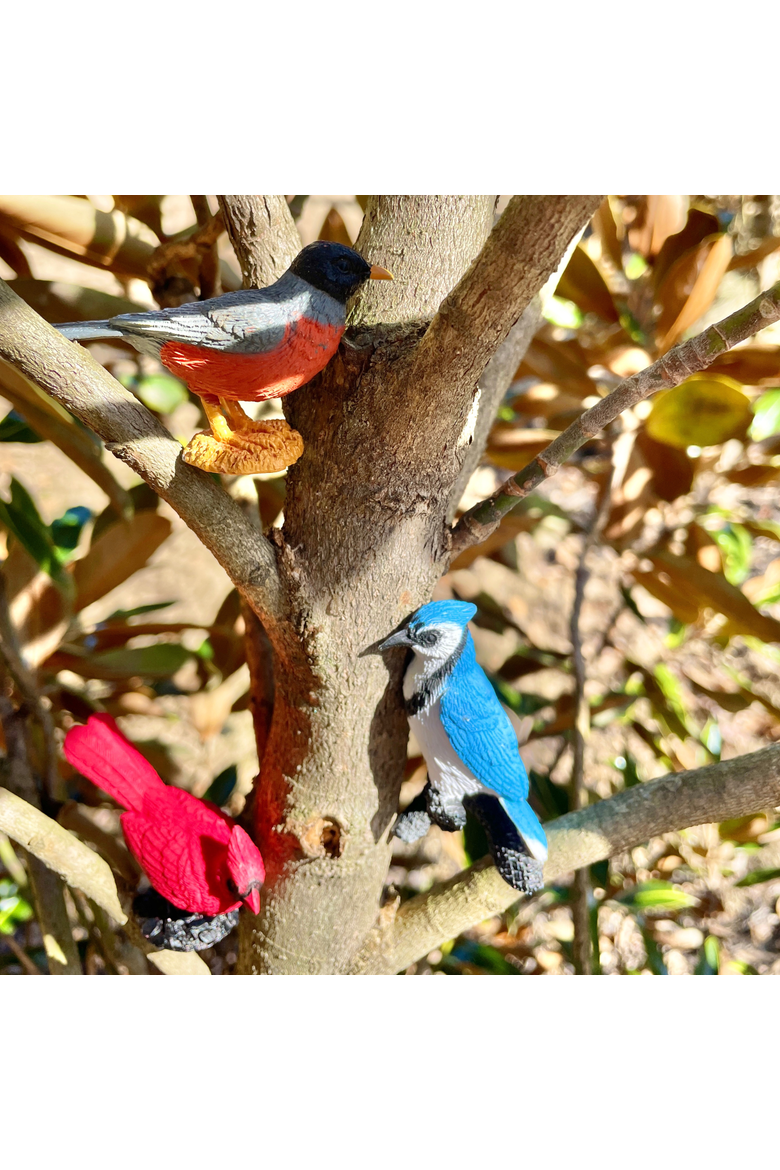 Backyard Birds Toy, Alternate, color, No Color