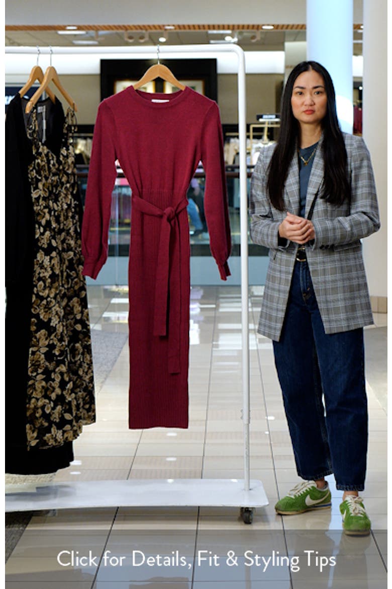 Helena Belted Long Sleeve Sweater Dress video