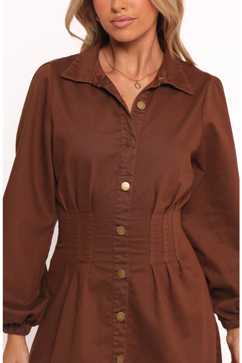 Phoenix Long Sleeve Minidress, Alternate, color, BROWN DENIM