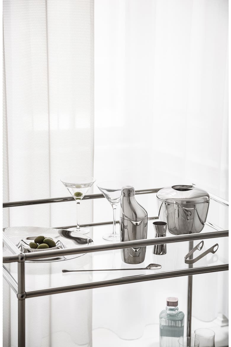 Sky Ice Bucket & Tongs Set, Alternate, color, SILVER