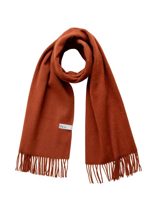 Lambswool Block Color Oversized Scarf