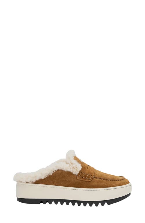 Aquatalia Amata Genuine Shearling Lined Mule In Brown